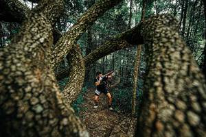 BIB: 
                            <button type="button" onclick="openModal(25393953)" class="btn btn-primary btn-sm float-right btn-popup" data-toggle="modal" data-target=".modal-high-quality">
                        <i class="fas fa-shopping-cart"></i> Add to Cart
                    </button>
                                            <button type="button" onclick="isThisMe(25393953, true)" class="btn btn-success btn-sm float-right btn-popup btn-isme hidden" data-toggle="tooltip" data-placement="bottom" title="นี่คือรูปของคุณใช่ไหม คลิกที่นี่เพื่อเอาเข้าอัลบั้ม">
                        <i class="fas fa-plus"></i> Add to album
                    </button>
                    <button type="button" onclick="isThisMe(25393953, false)" class="btn btn-warning btn-sm float-right btn-popup btn-isnotme hidden">
                        <i class="fas fa-ban"></i> Remove from album
                    </button>